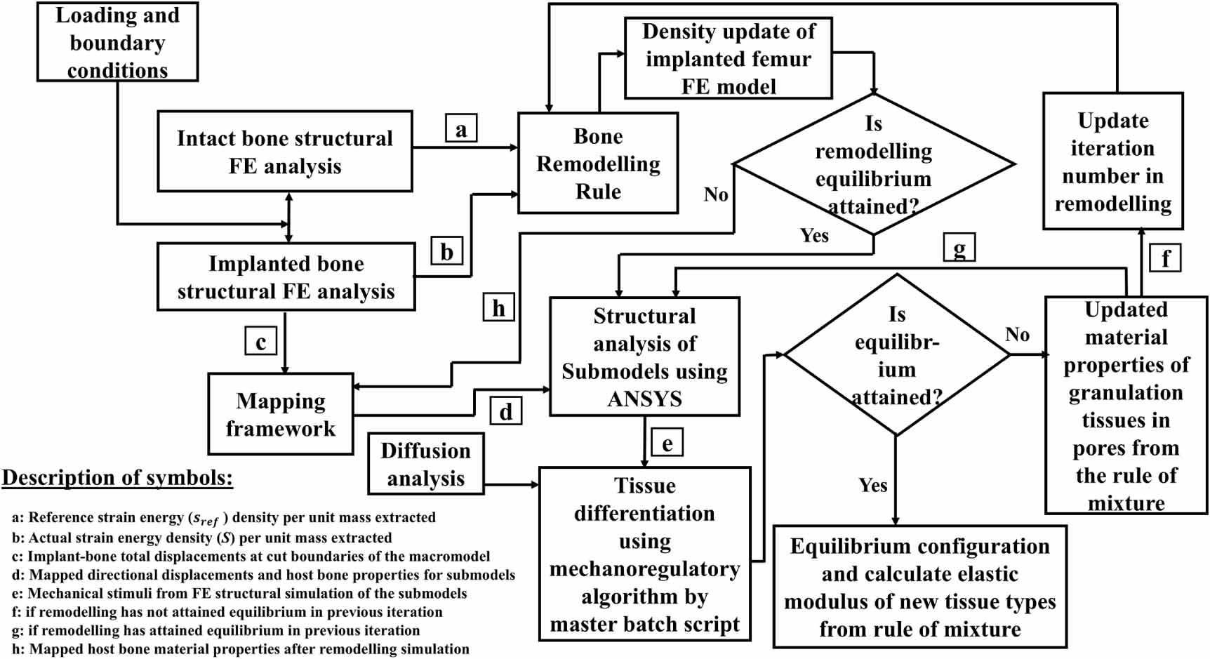 The effect of bone remodelling on bone ingrowth into a novel porous hip ...
