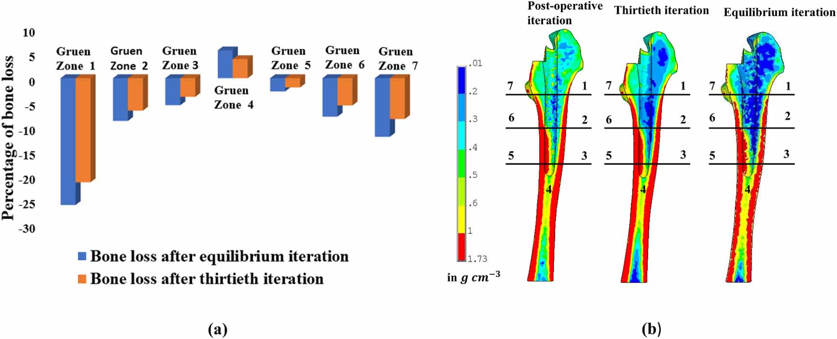 The effect of bone remodelling on bone ingrowth into a novel porous hip ...