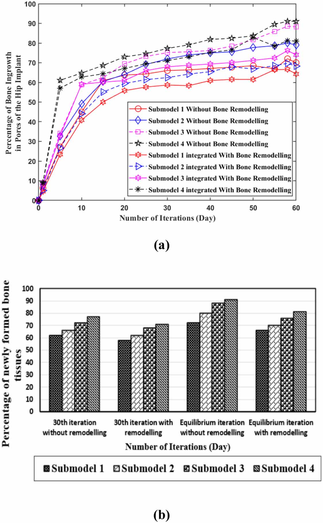 The effect of bone remodelling on bone ingrowth into a novel porous hip ...