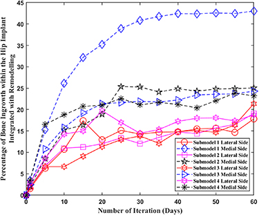 The effect of bone remodelling on bone ingrowth into a novel porous hip ...