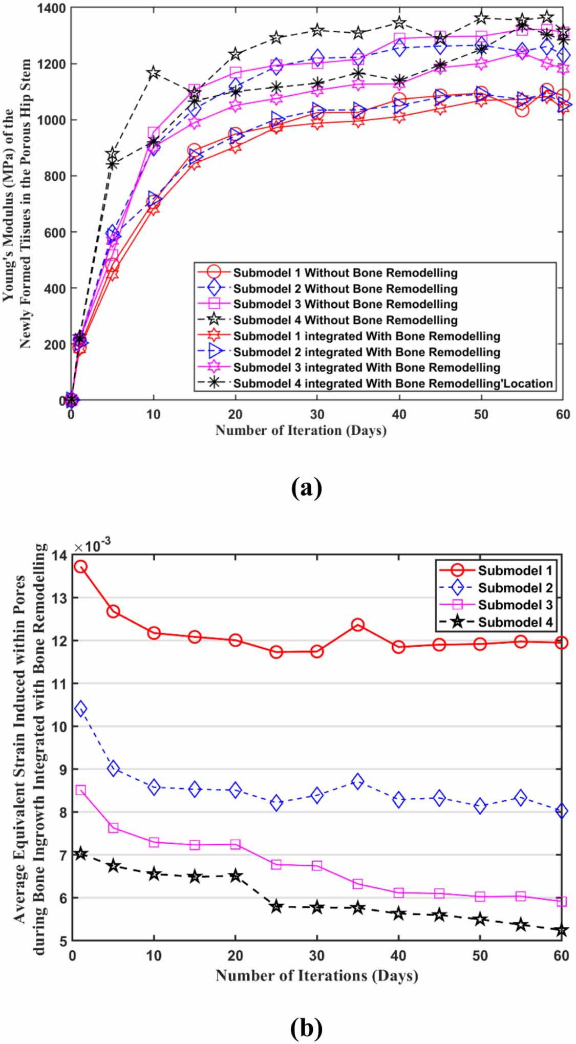 The effect of bone remodelling on bone ingrowth into a novel porous hip ...