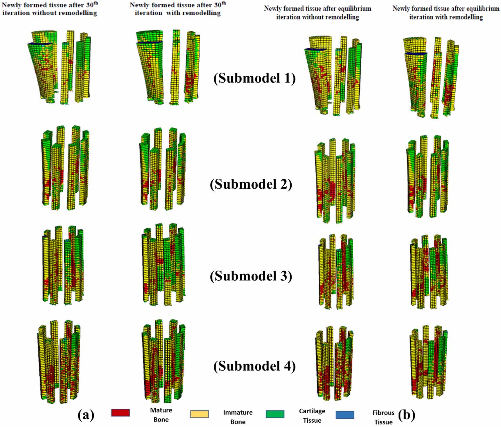 The effect of bone remodelling on bone ingrowth into a novel porous hip ...