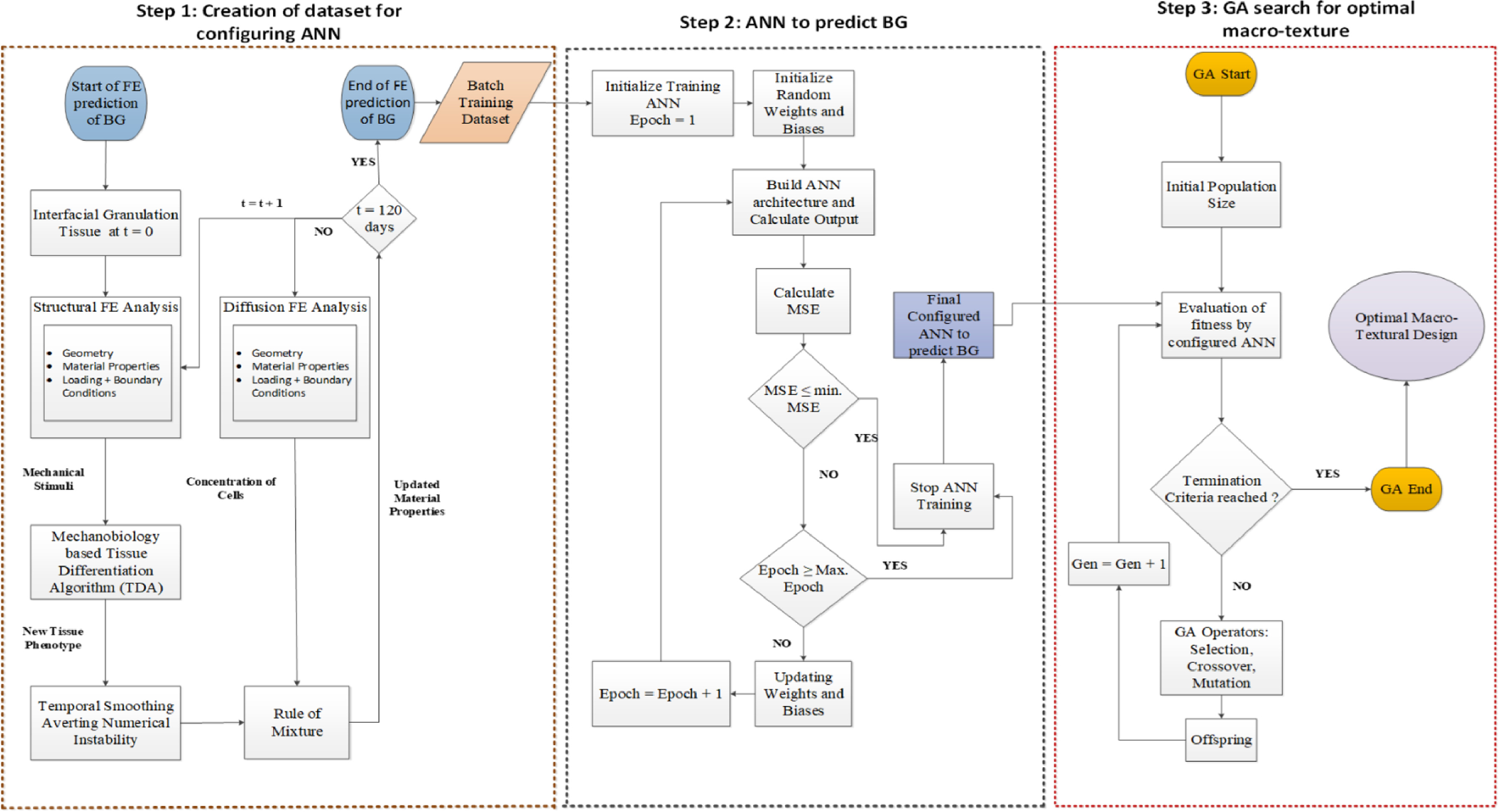 Qualitative predictions of bone growth over optimally designed macro ...