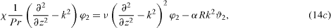 Equation (14c)