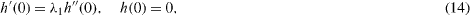 Equation (14)