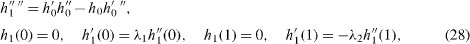 Equation (28)