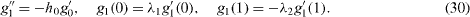 Equation (30)