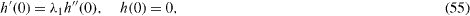 Equation (55)