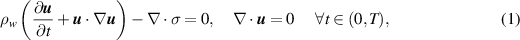 Equation (1)