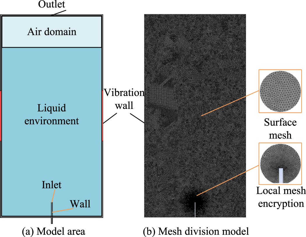 Simulation of movement behavior of flotation bubbles under ultrasonic ...