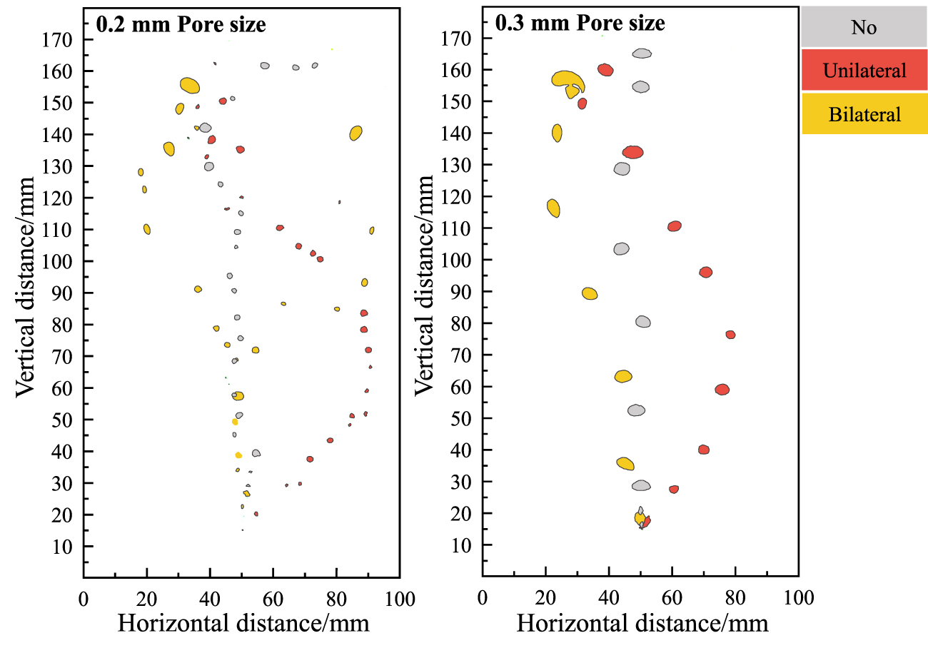 Simulation of movement behavior of flotation bubbles under ultrasonic ...