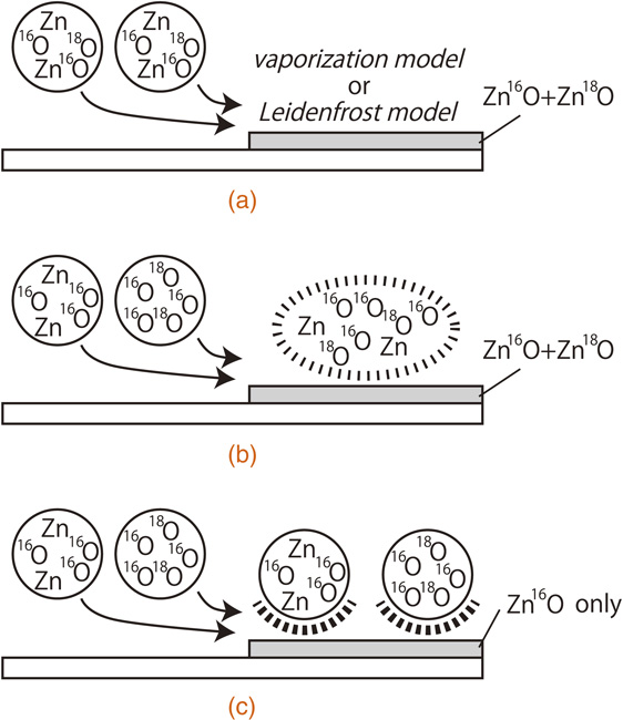 Growth mechanisms of zinc oxide and zinc sulfide films by mist chemical ...