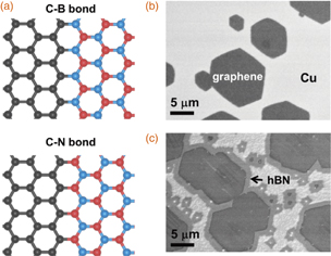 Orientation-controlled growth of hexagonal boron nitride monolayers ...