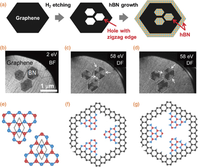 Orientation-controlled growth of hexagonal boron nitride monolayers ...