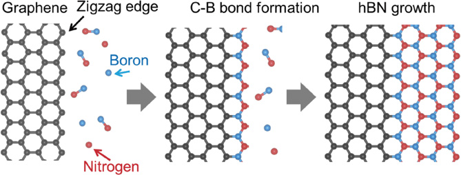 Orientation-controlled growth of hexagonal boron nitride monolayers ...