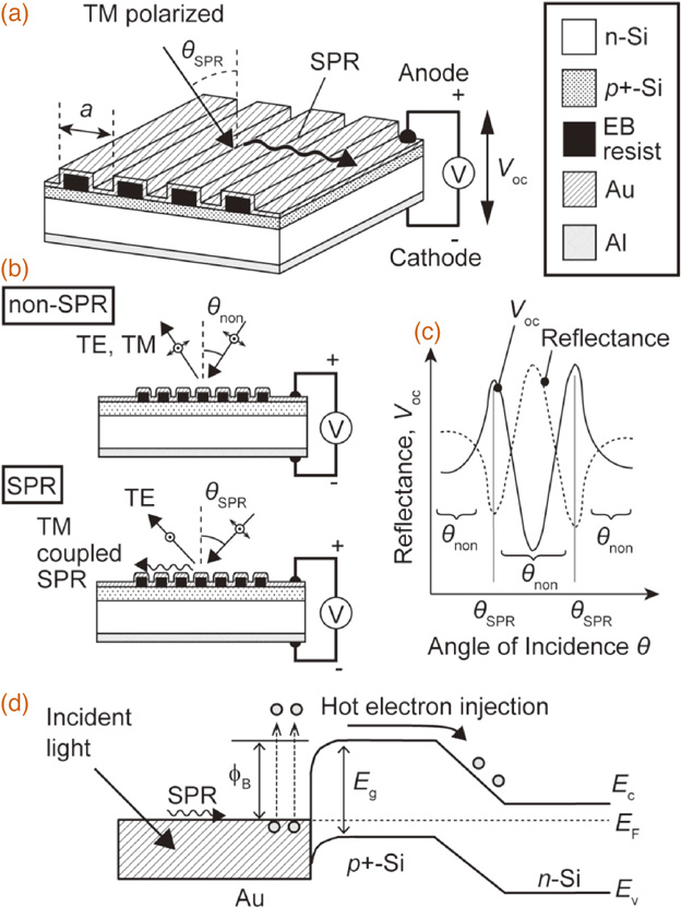 Electrically detectable surface plasmon resonance sensor by combining a ...