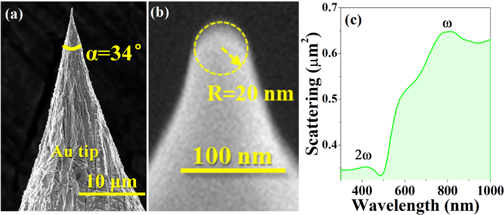 Second-order surface optical nonlinear response of plasmonic tip ...