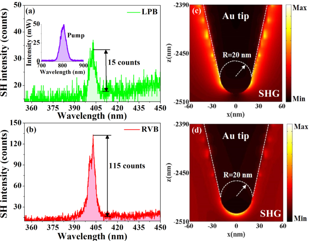 Second-order surface optical nonlinear response of plasmonic tip ...