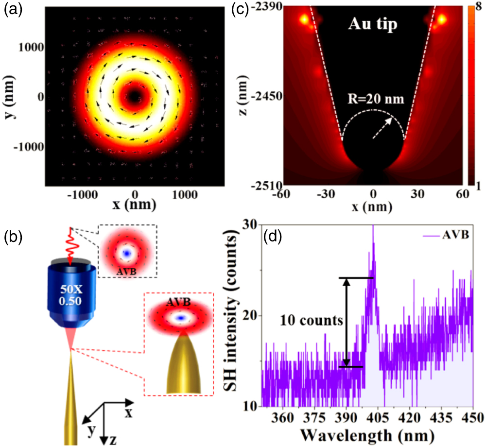 Second-order surface optical nonlinear response of plasmonic tip ...
