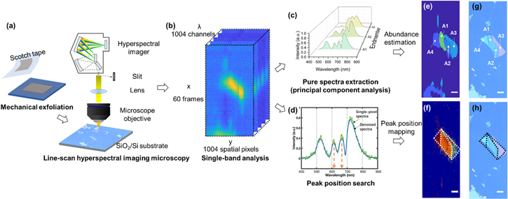 Analyses of hyperspectral imaging microscopy data sets of ...