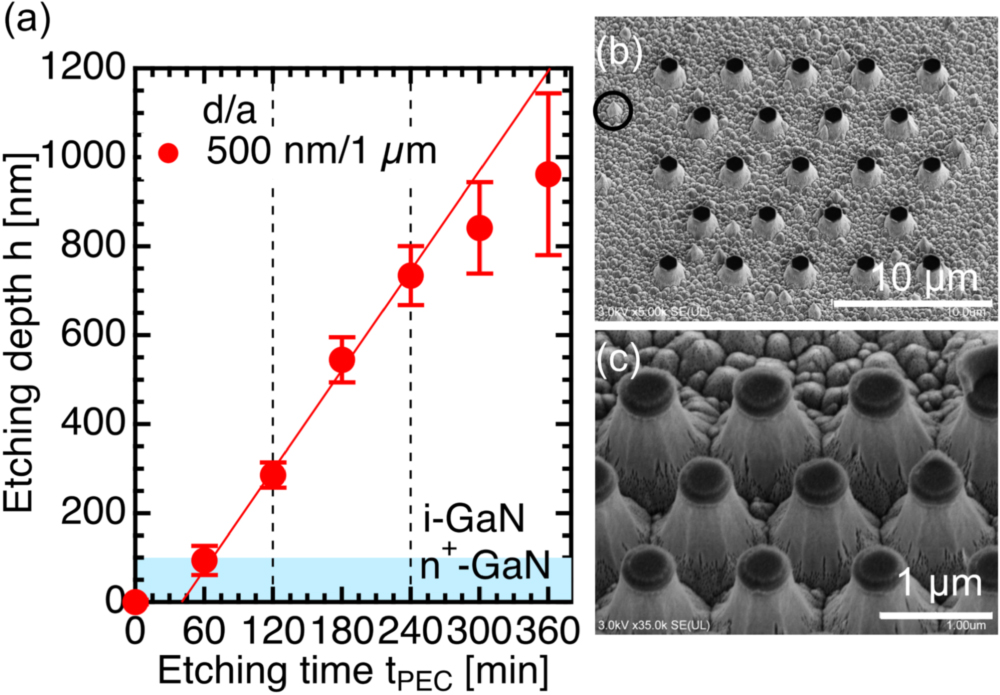 Fabrication of GaN nanowires containing n+-doped top layer by wet ...