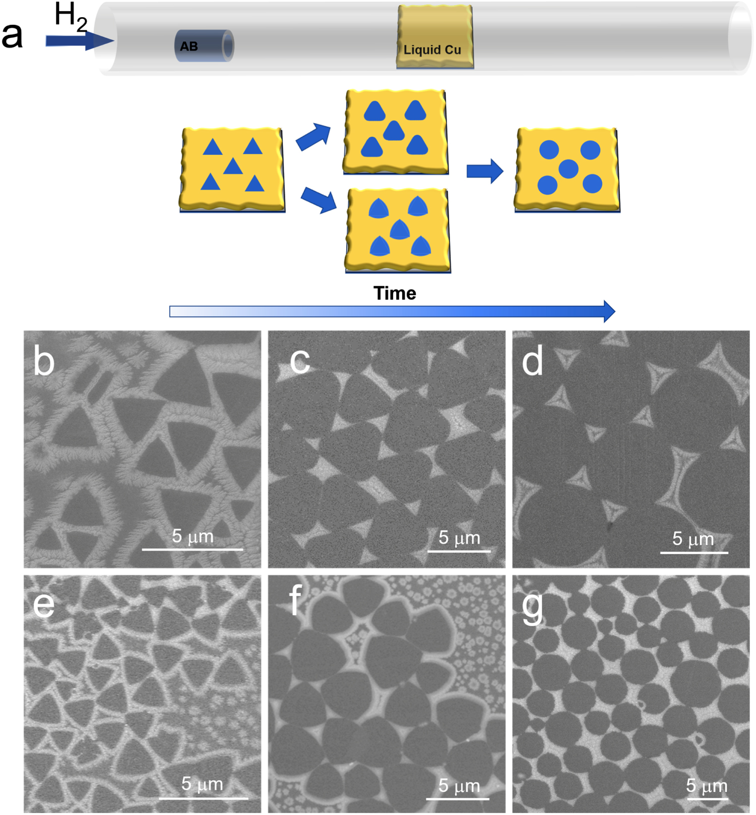 Edge-controlled growth of single-crystal hexagonal boron nitride ...