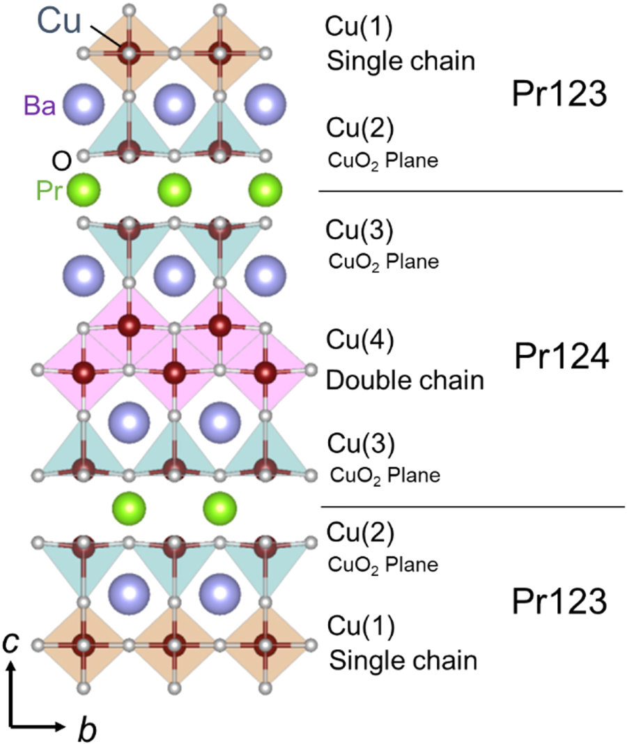 Nuclear-spin evidence of insulating and antiferromagnetic state of CuO2 ...