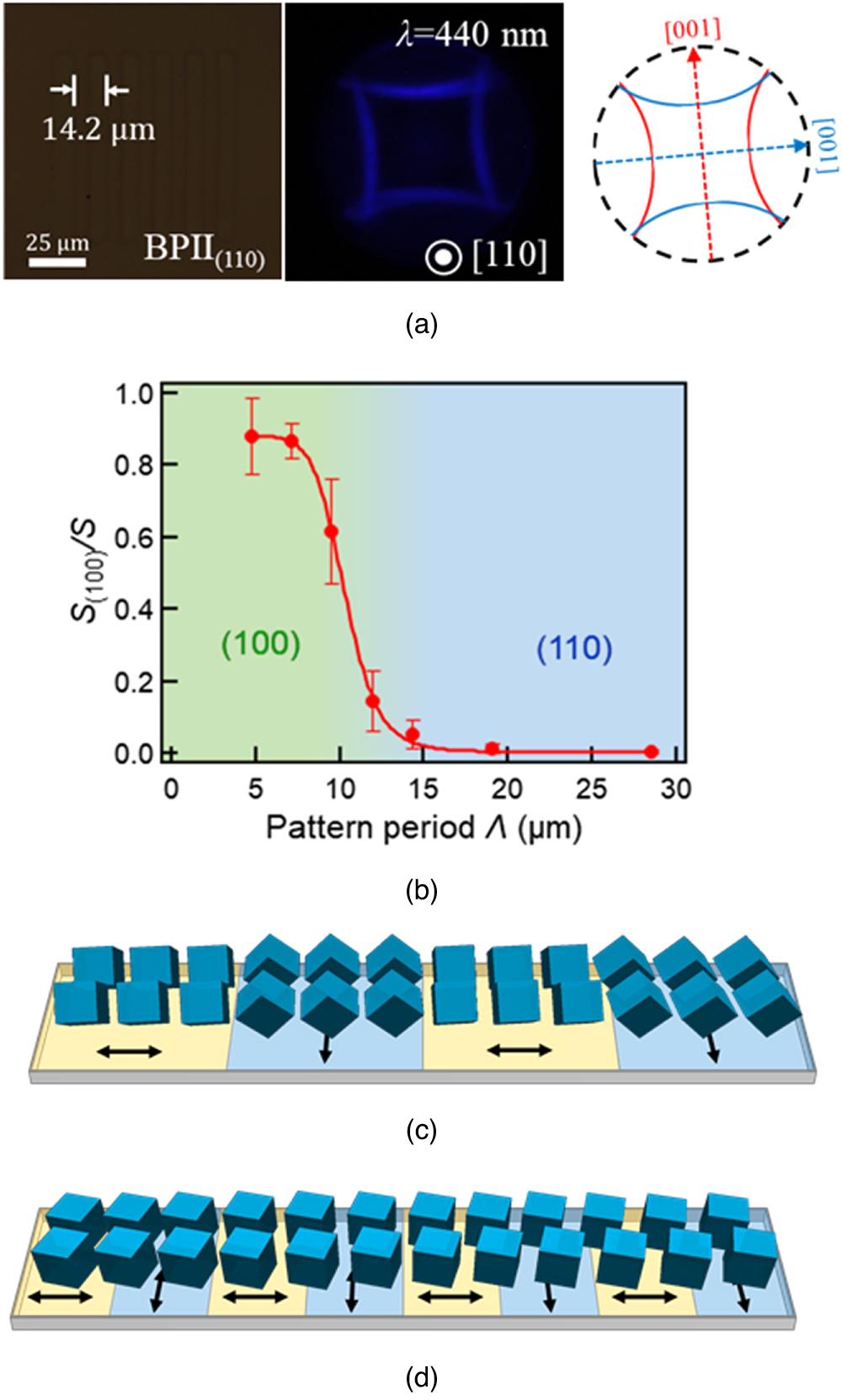Frustrated lattice orientation of cholesteric blue phase II induced by ...