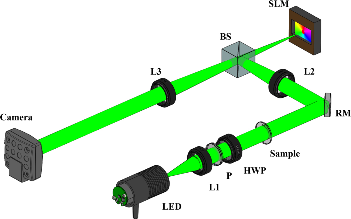 Partially coherent spiral phase contrast imaging with a 3D-like effect ...