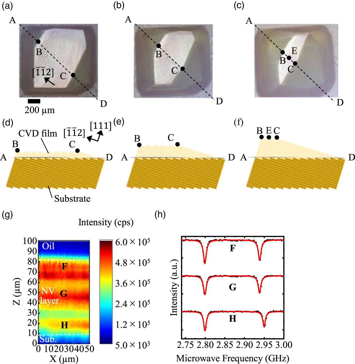 Misoriented Substrate Over 100 μm thickness CVD diamond film with perfectly aligned nitrogen ...