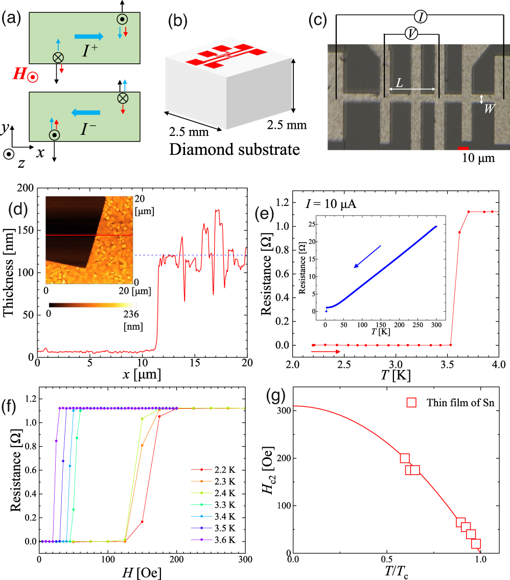 Nonreciprocal supercurrent in thin film of type II superconducting Sn ...