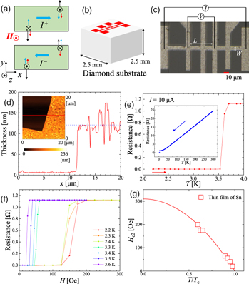 Nonreciprocal supercurrent in thin film of type II superconducting Sn ...