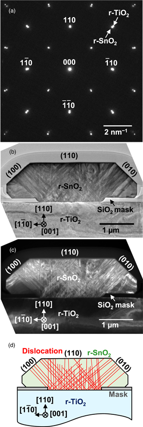 Growth dynamics of selective-area-grown rutile-type SnO2 on TiO2 (110 ...
