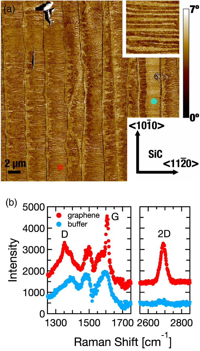 Polarized Raman scattering spectroscopy of array of embedded graphene ...