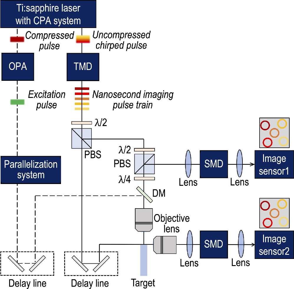 Dual Sequential Shocking Single-shot ultrafast dual-view imaging of shock waves in parallel ...