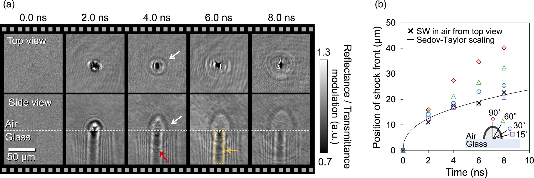 Dual Sequential Shocking Single-shot ultrafast dual-view imaging of shock waves in parallel ...