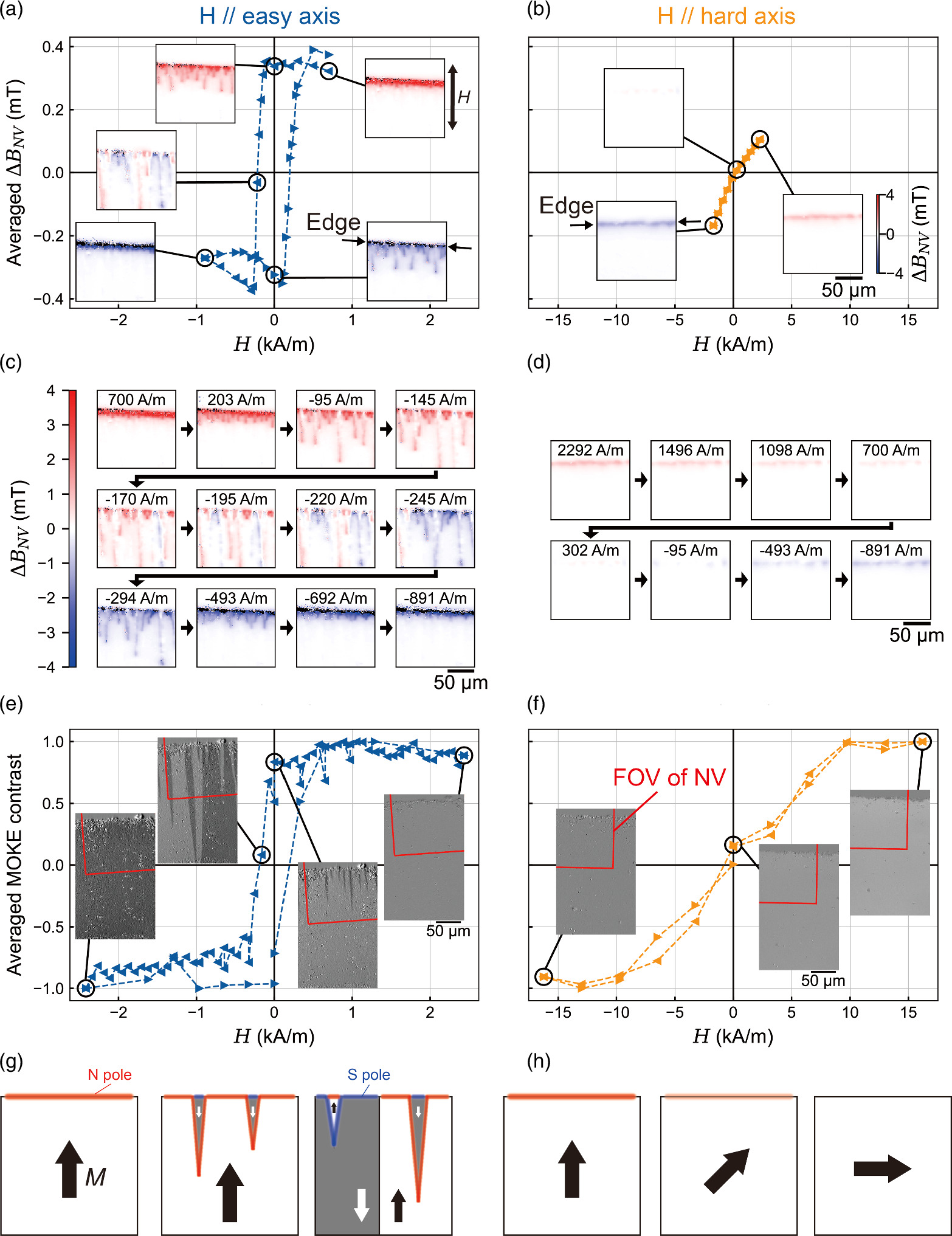 Wide-field imaging of the magnetization process in soft magnetic-thin ...