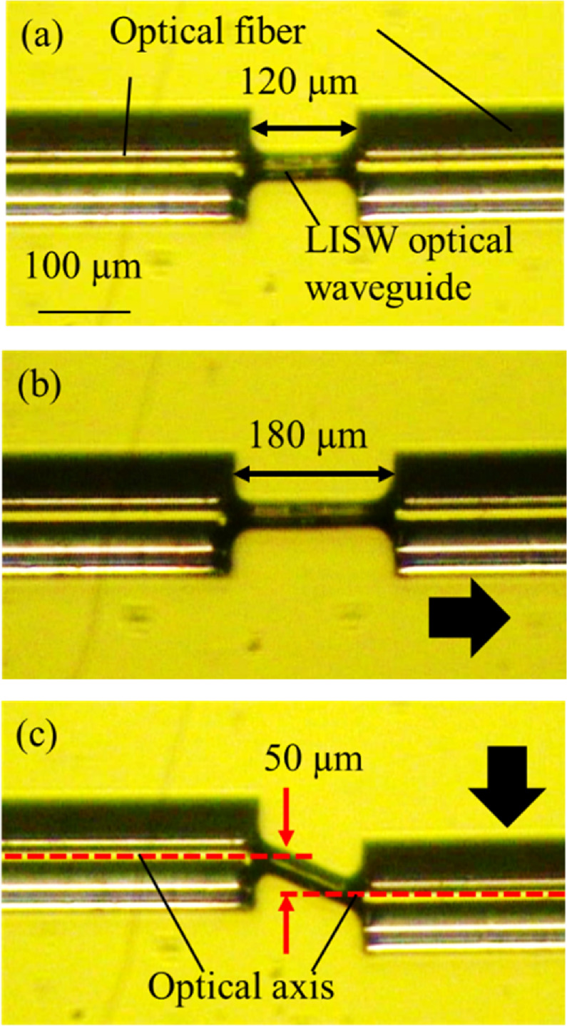 Led Waveguide Flexible light-induced self-written optical waveguide with 50 μm core ...