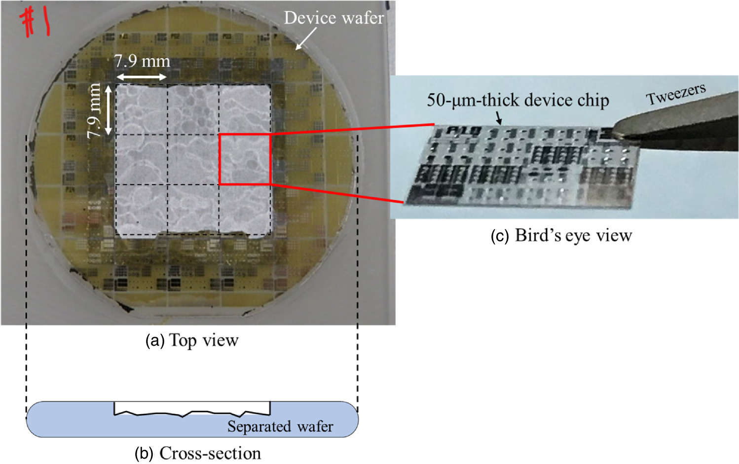 Demonstration of recycling process for GaN substrates using laser ...