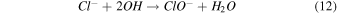 Equation (12)