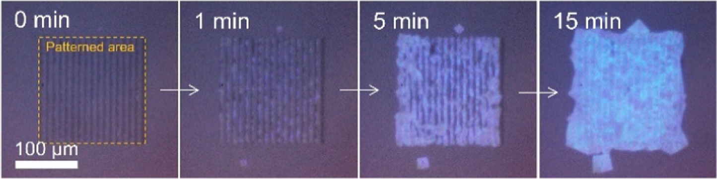 Selective phase transition of cholesteric blue phase I induced by ...