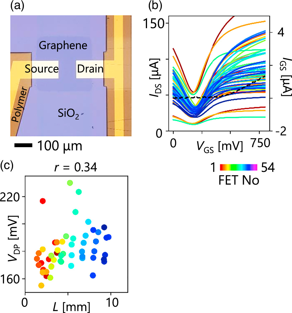 Impacts of capacitive current on electrolyte-gated graphene field ...