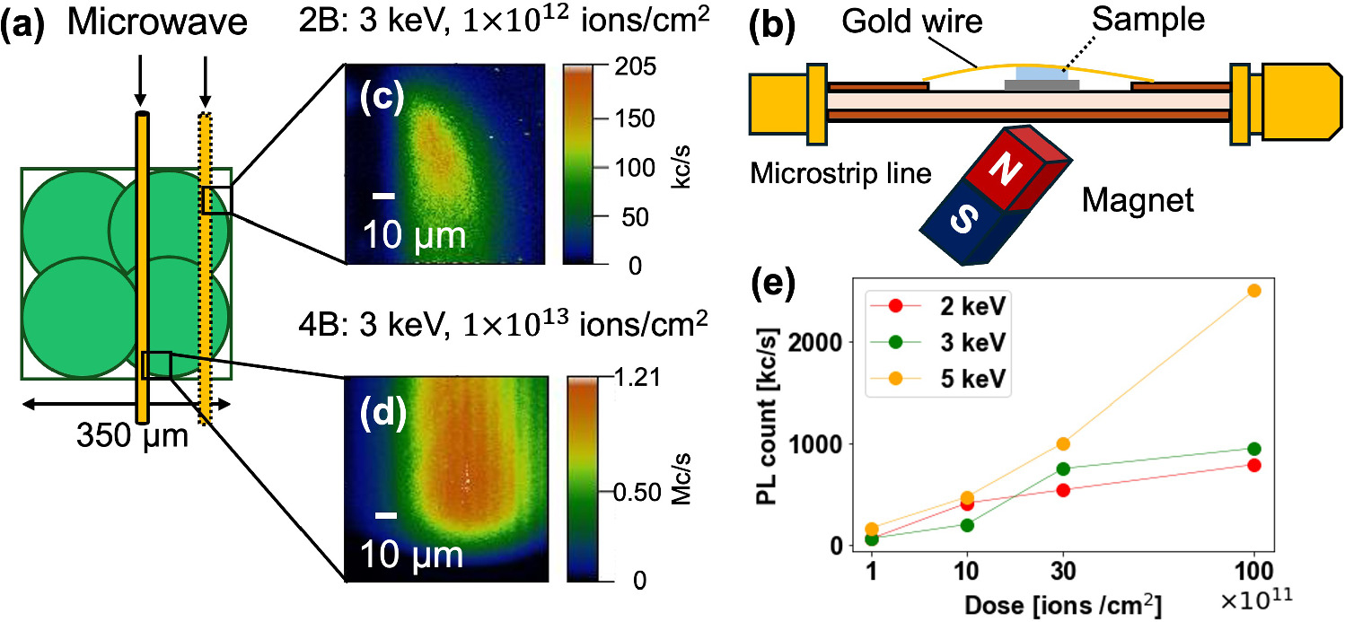 Spin properties of shallow ensemble nitrogen-vacancy centers in a 12C ...