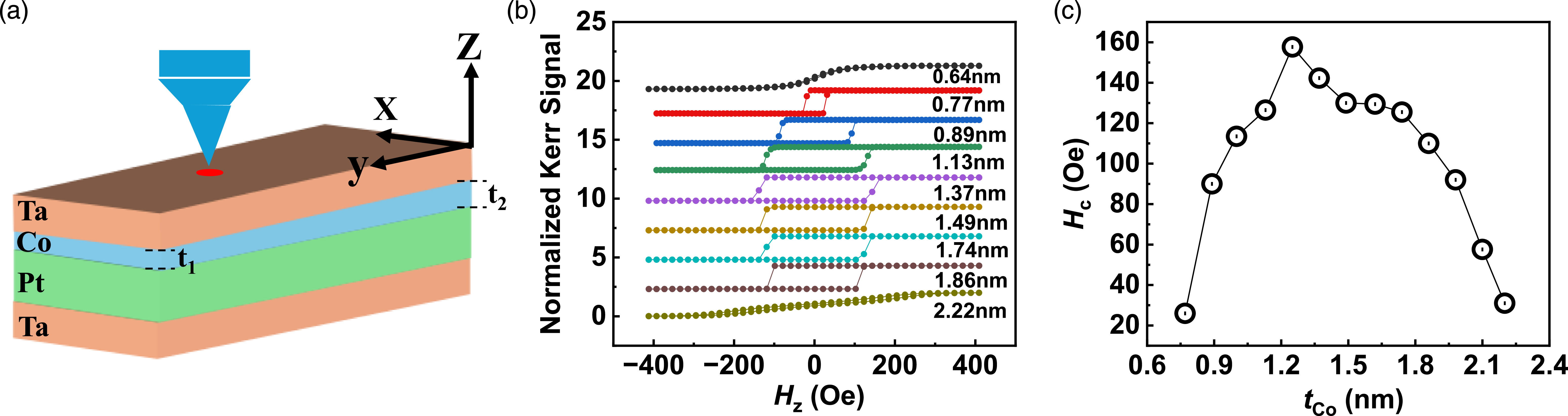 Anisotropic domain wall dynamics in perpendicularly magnetized Pt/Co/Ta ...