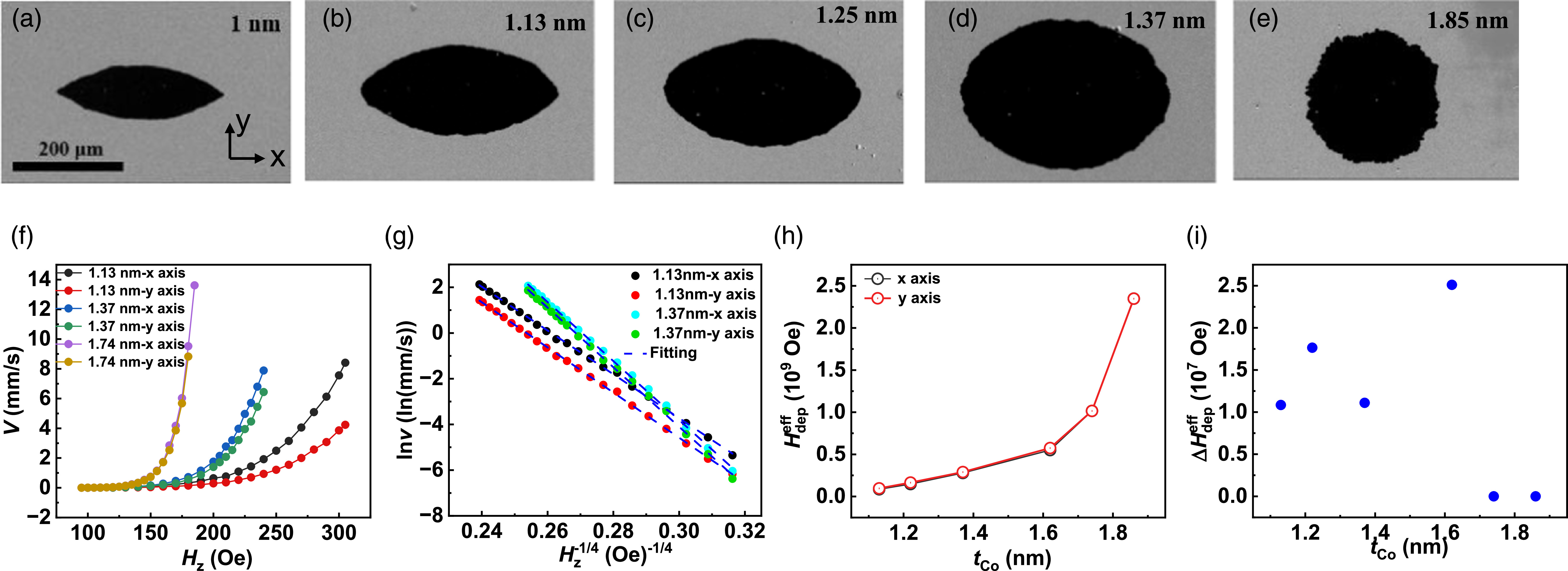 Anisotropic domain wall dynamics in perpendicularly magnetized Pt/Co/Ta ...
