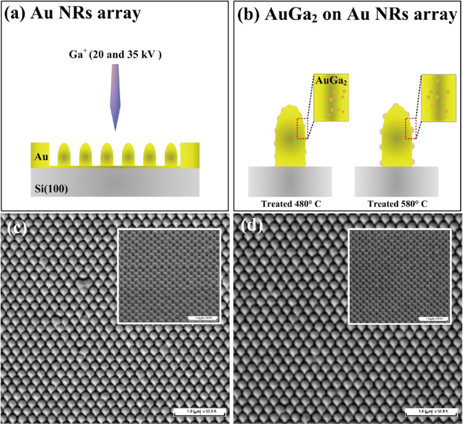 AuGa2 on focused Ga ion beam-fabricated Au nanorod array for trace ...