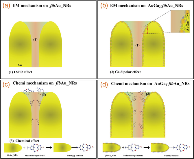 AuGa2 on focused Ga ion beam-fabricated Au nanorod array for trace ...