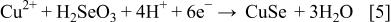 Equation (5)