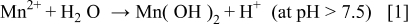 Equation (1)