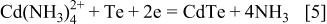 Equation (5)